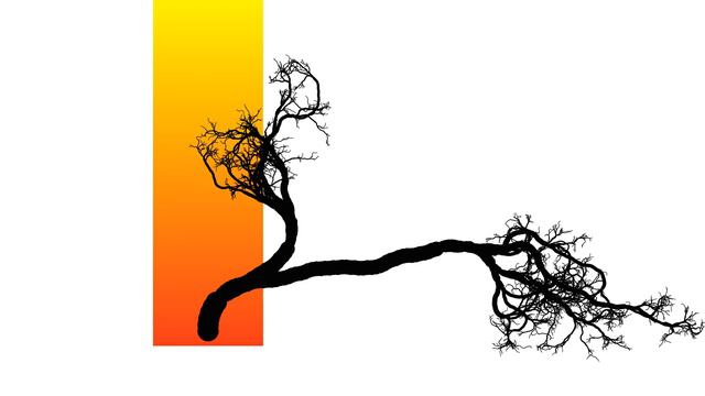 Fractal Tree  Animations | Solitary Tree Orange Yellow| |  Free Stock Footage