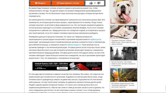Что Такое Сон – это очень важное занятие