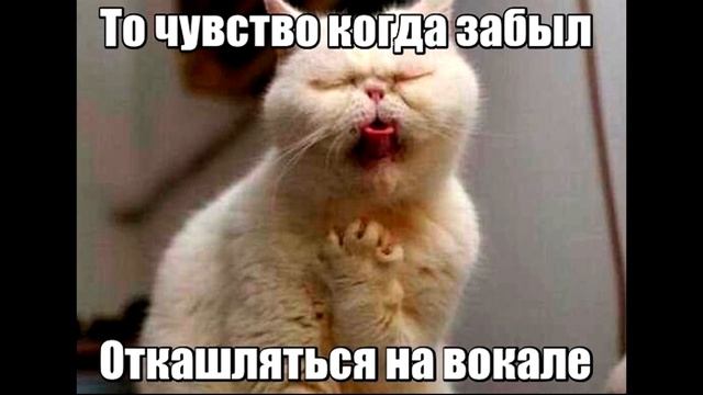 Как найти девушку В МАЙНКРАФТЕ