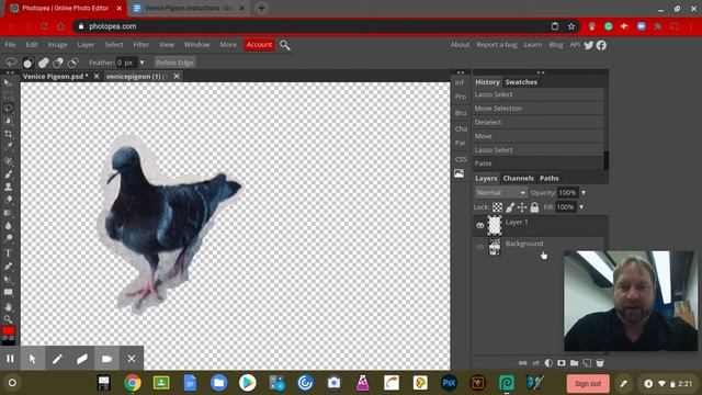 Photopea Lasso Tool Copy/Paste Layers