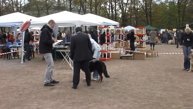 Майские встречи 2009 Бэби ПЕТРО ПРЕСТИЖ САН КУЧИ