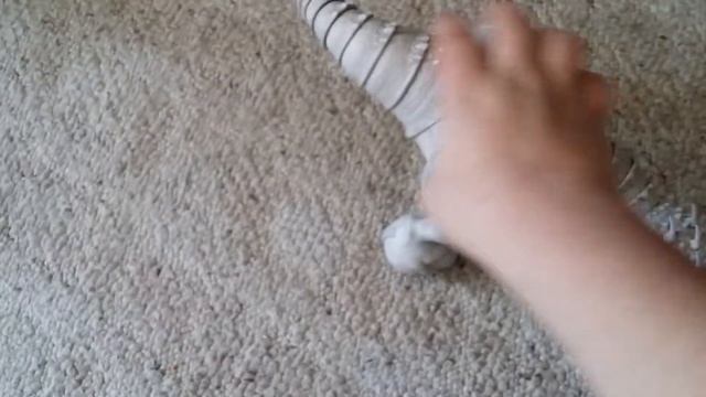 Zoomer Indominus Rex Review