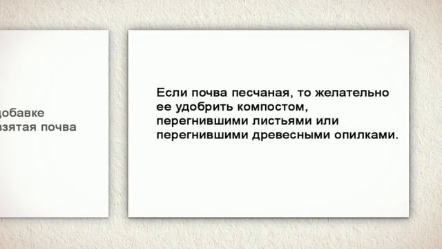 Чем лучше удобрять газон