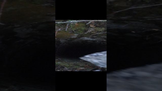 колодец