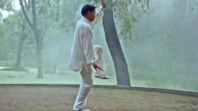 Стиль Чэнь Тайцзи 13-ый стиль