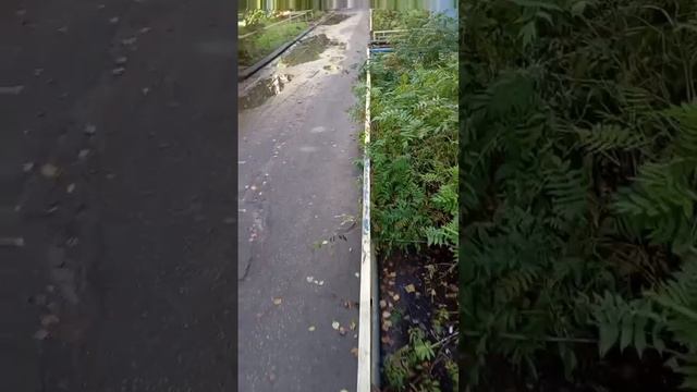 иду по забору