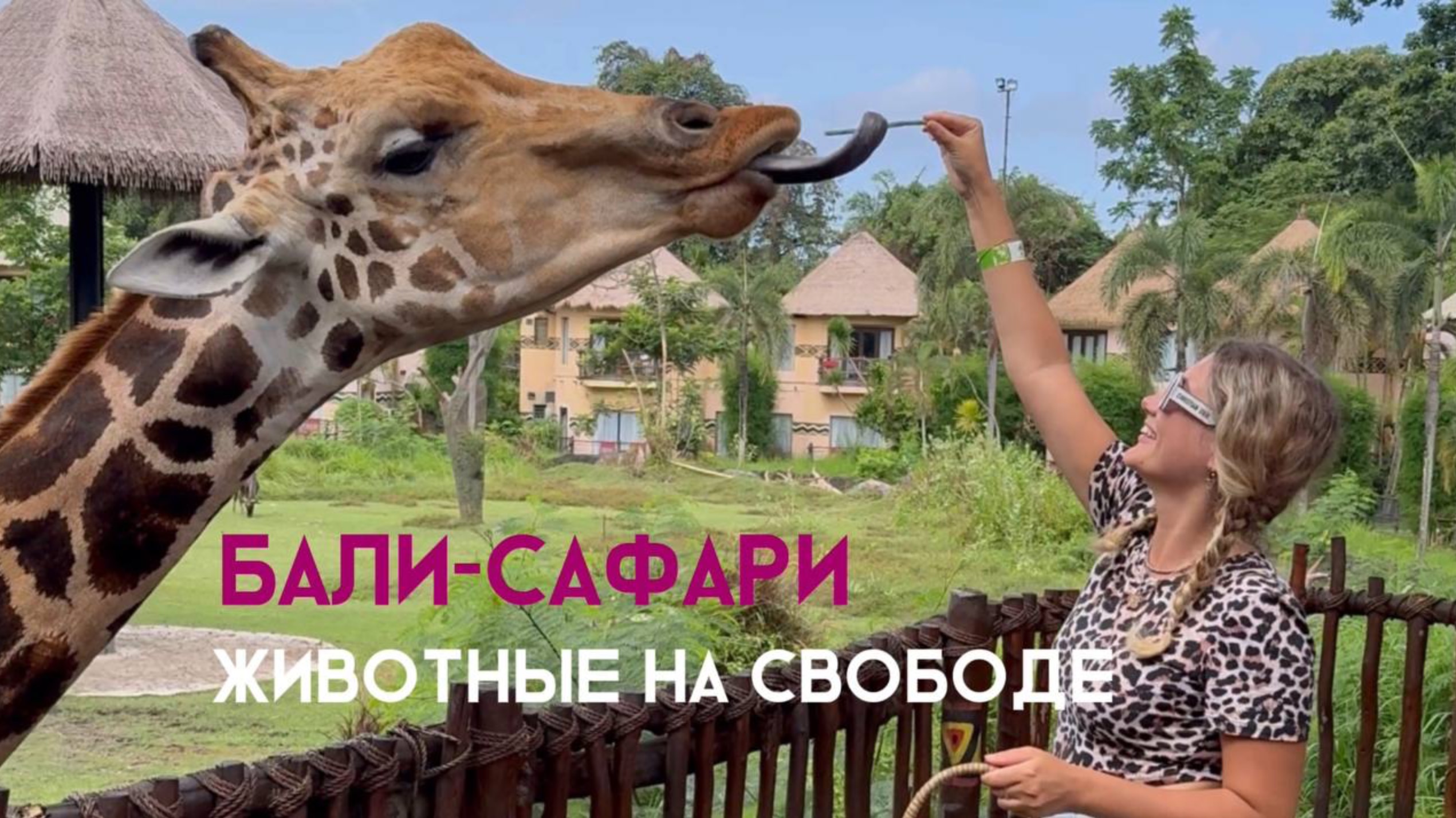 Бали сафари | куда пойти Бали | Бали с ребенком | в клетке с тигром | самый необычный ресторан