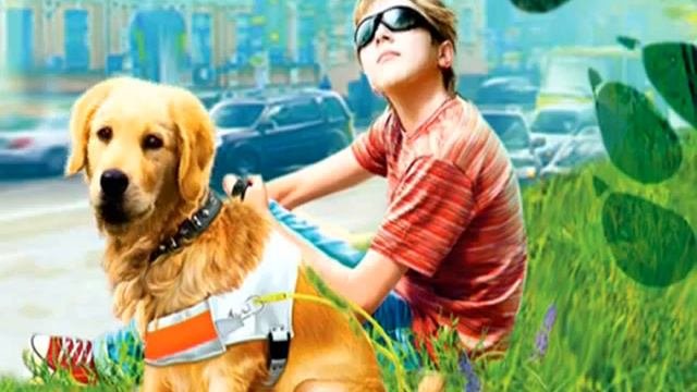 Буктрейлер на книгу Радуга для друга