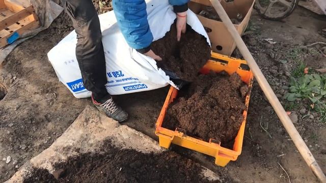 2/20КЛУБНИКА на СТЕЛЛАЖАХ.