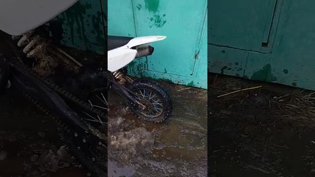 11 апреля 2022 г.