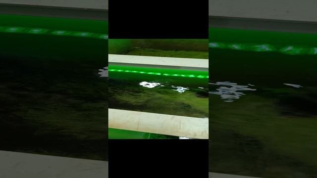 VID_20231117_121851.mp4
