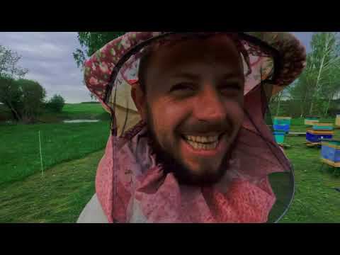 На пасеку после дождя.  Вятка. Снято на Gopro
