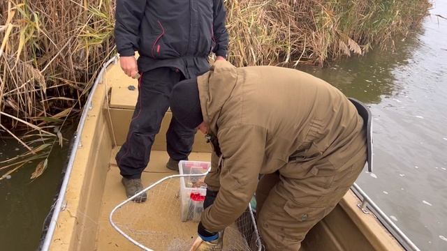 Рыбалка на Волге. Ноябрь 2023 г. Егерь +7-927-551-99-90