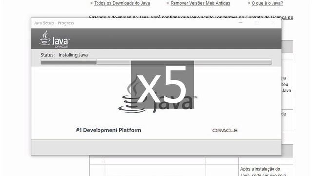 Como instalar o java 8 no Windows? - Salwyrr BR Ajuda #1