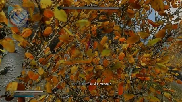 [Ansgam] 12 - Skyrim SE - Dragon at Autumnwatch Tomer - Learn Kill, Marked for Death