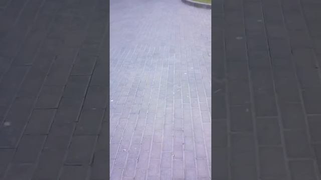 Новый гироскутер!