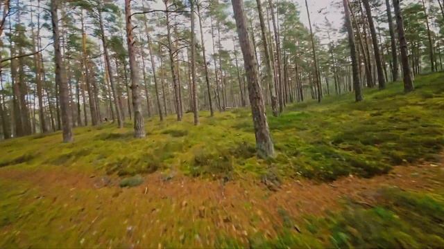 Озеро Уммис (Конец Октября 2023) / Ummis lake (End of October 2023)