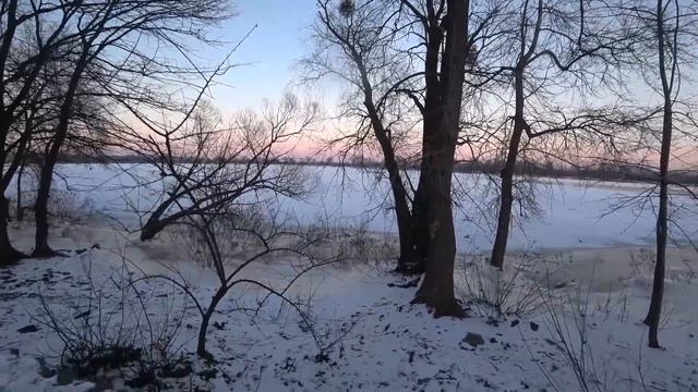 ВЫЖИВАНИЕ ЦЕЛЫЙ МЕСЯЦ В УКРАИНЕ НА 1000 ГРИВЕН / 7-9 ДЕНЬ