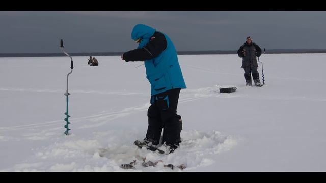 Крупный окунь зимой на блесну и балансир. Супер рыбалка 2018 .Озеро Ильмень.
