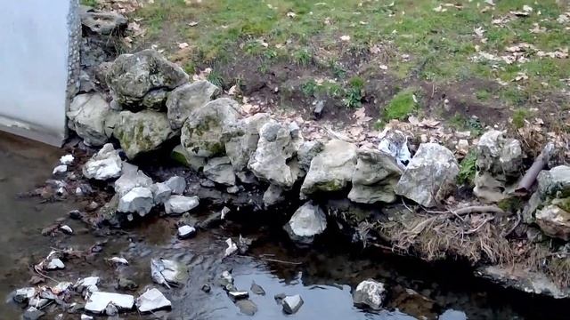 Дно реки вспучило