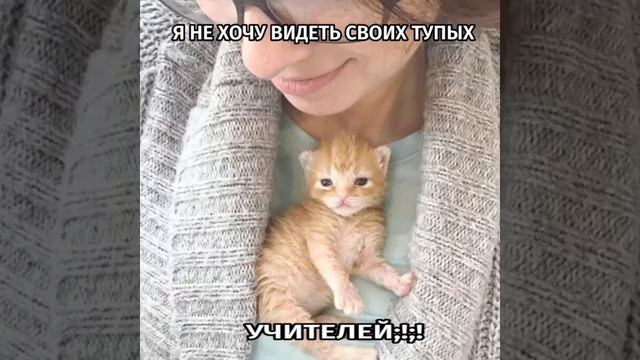 уже 16 сентебря... но надеюсь мы выживем!