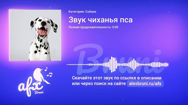 Звук: Звук чиханья пса