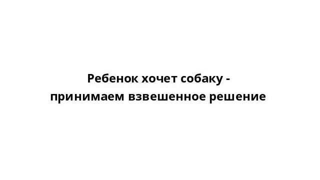 Ребенок хочет собаку - принимаем взвешенное решение