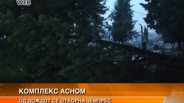 DOZDOT NAKISNA I OTKORNA CEMPRES