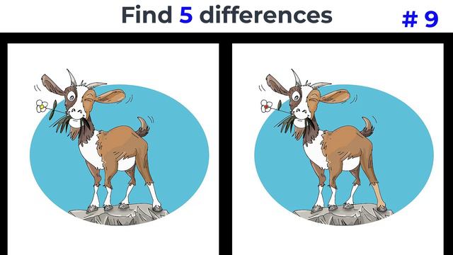 Найди 5 отличий - 9  (Сколько отличий нашёл ты?)