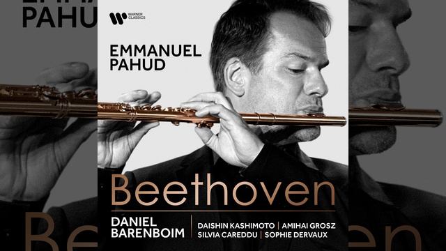 Duo for 2 Flutes in G Major, WoO 26: I. Allegro con brio