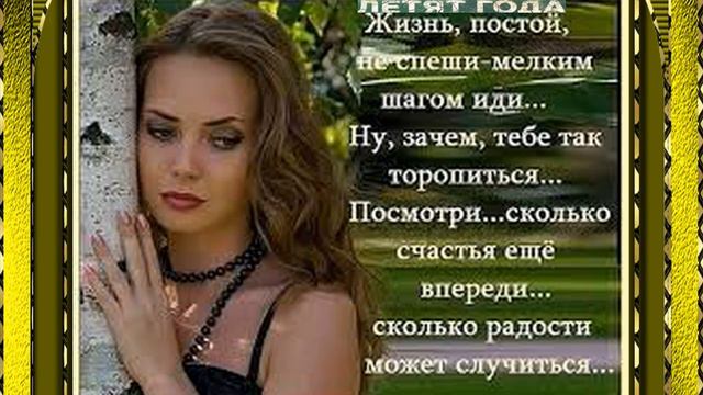 исп.Владимир Песня - Летят года