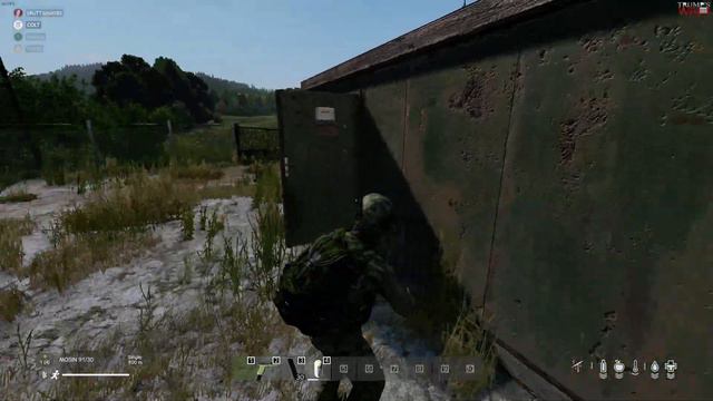 Wow (Dayz)