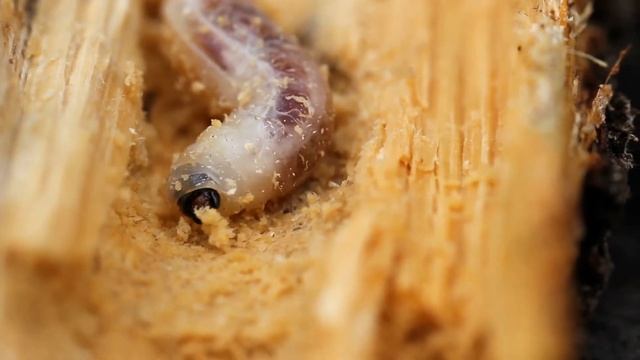 HOW TO PROTECT YOUR SAUNA