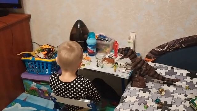 животные собаки бегемот корова