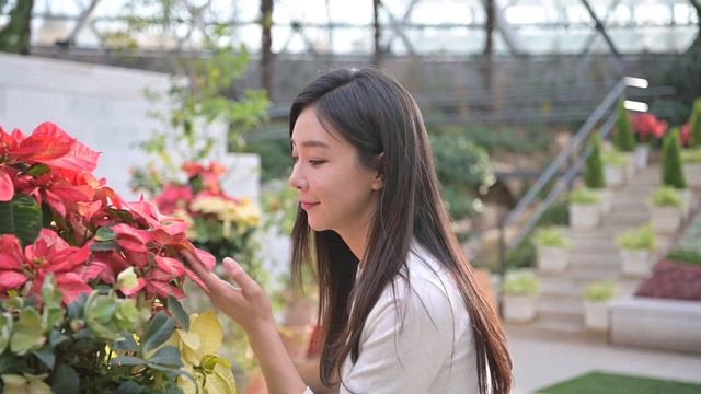 Nikon D780 Video AF