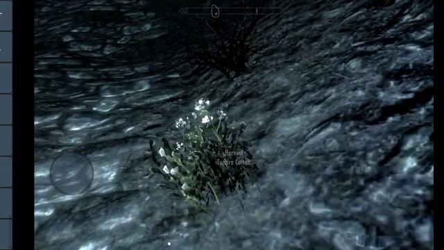 Skyrim on Android very well with mods