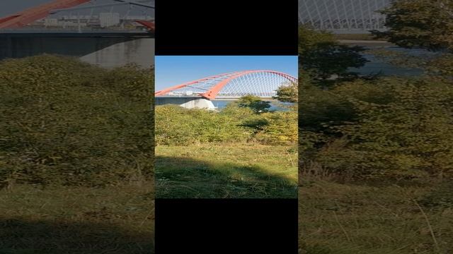 бугринская роща!!!!