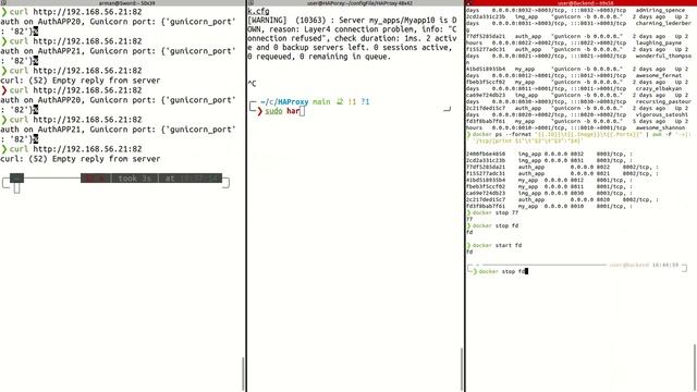 14 Explaining and customizing HAProxy Health check time