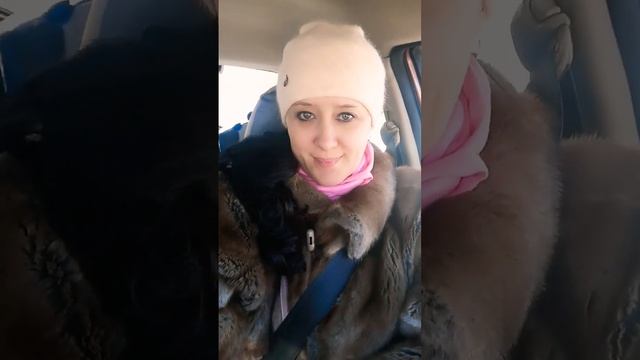 Сделала ногти новые 15 февраля 2023г