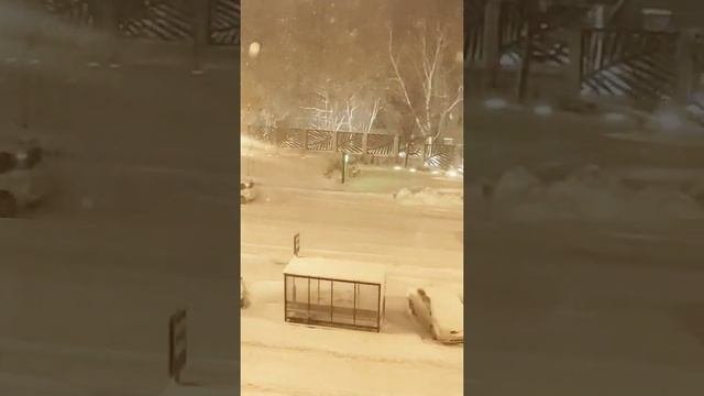 ЛИСТАЮ НАШИ ФОТО...