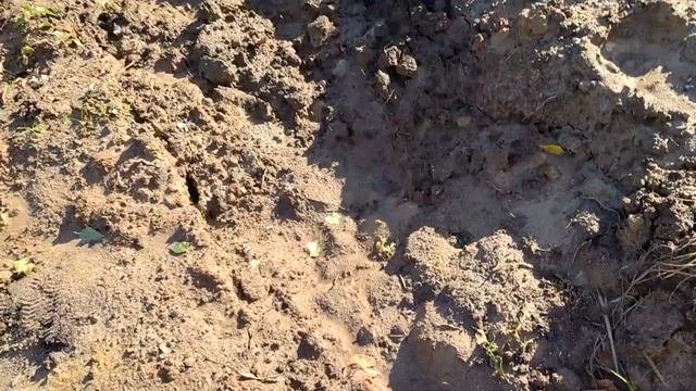 вроде всё по уму дренаж работает