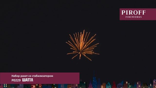 ШАТТЛ P0229