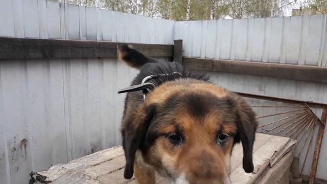 Пришла весна. Природа просыпается. Доброе весеннее утро.