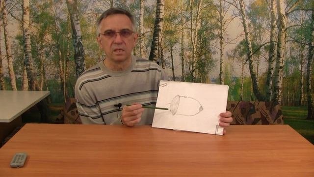 Как вырастить дуб. Из  червивых желудей вырастают отличные дубы.