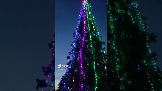 Новогодняя ёлка в Центральном парке города Карасук 23 декабря 2023 года