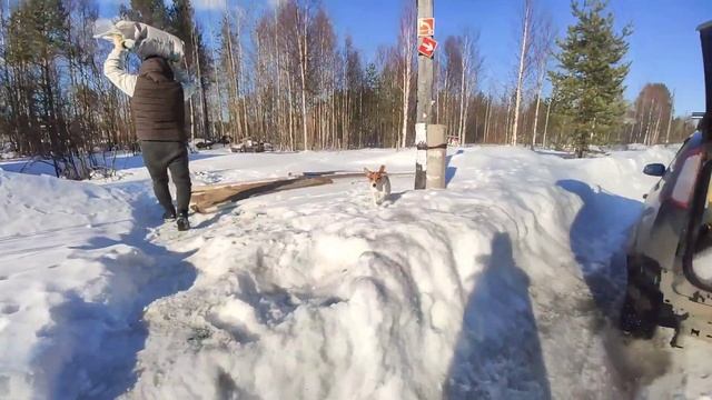 Живём в вагончике/снег проломил крышу/приготовила шаурму/съездили на новый участок.