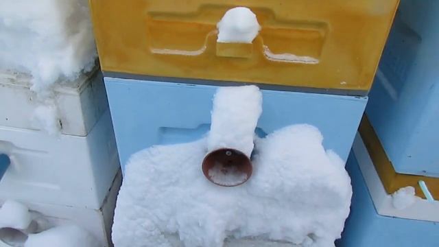 январь на пасеке - как охладить пчел в момент зимовки на воле, если они стали активными