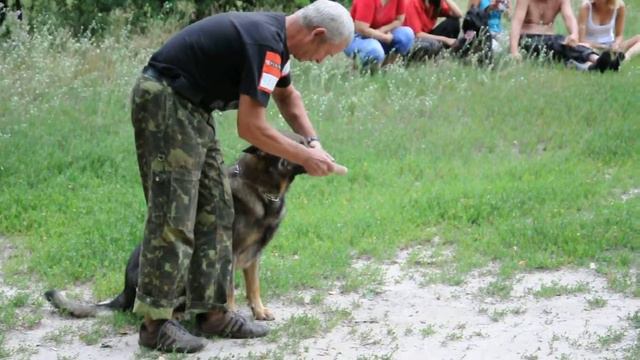 Брит-Хонза. Выборка.