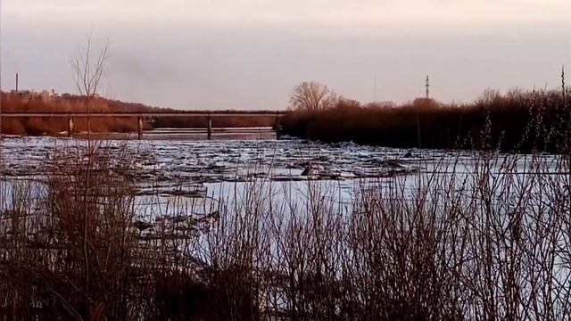Лёд тронулся и пошёл, прямо во время рыбалки. Река Чумыш. Заринск. Алтайский край. 7.04.2022г.