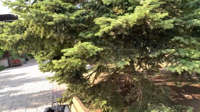 Отель Славянка Анапа Теперь 4 звезды! Все включено самый подробный обзор часть 1